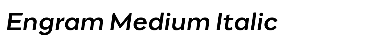Engram Medium Italic image